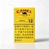 1 CAMEL黄骆驼-12 C05