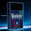 11 Manchester Blueberry Min C21-彩曼蓝莓