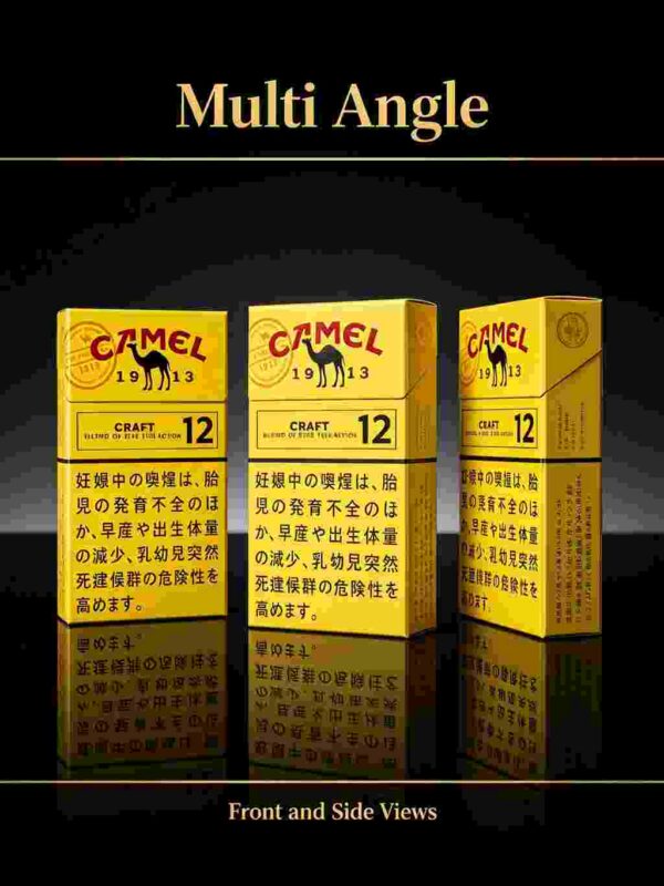 12 CAMEL黄骆驼-12 C05