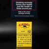 16 CAMEL黄骆驼-12 C05