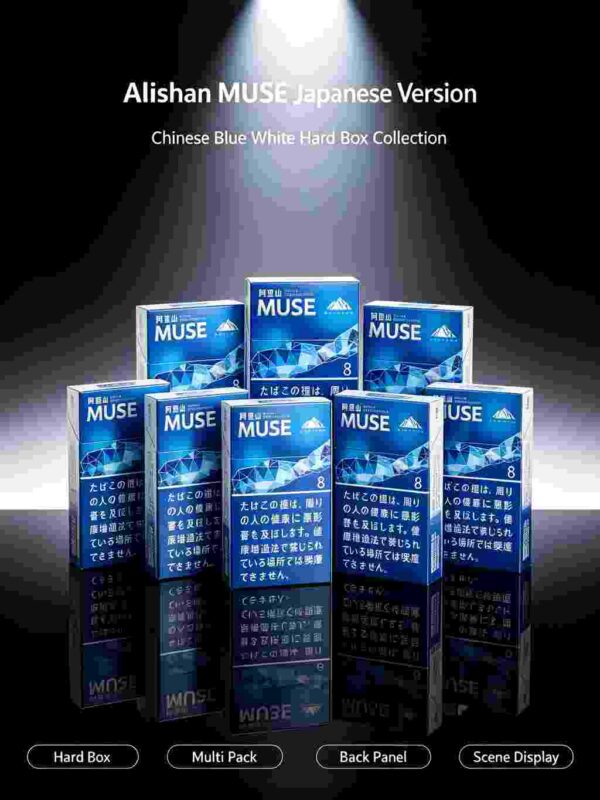 17 Alishan MUSE 8 c02