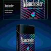 3 Manchester Blueberry Min C21-彩曼蓝莓