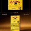 4 CAMEL黄骆驼-12 C05