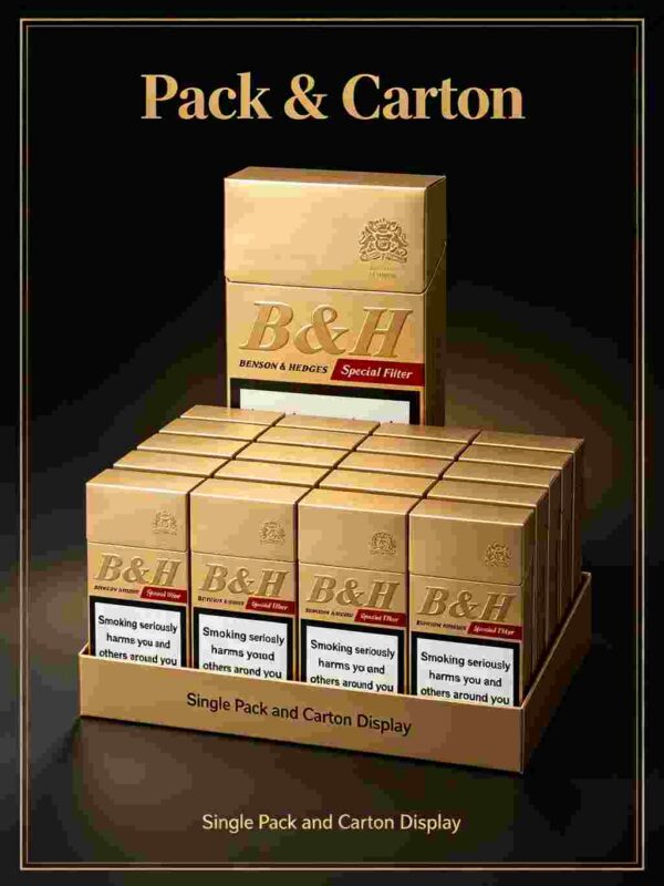 6 Benson & Hedges Special Filter C04-金本森